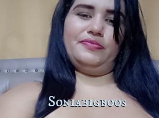 Soniabigboos