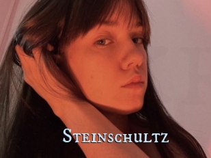 Steinschultz