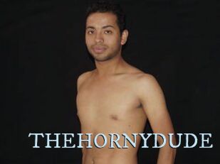 THEHORNYDUDE