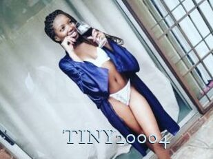 TINY20004