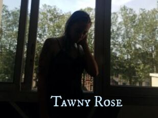 Tawny_Rose