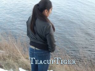 TeacupTiger