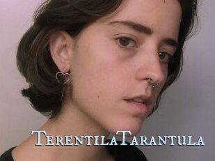 TerentilaTarantula