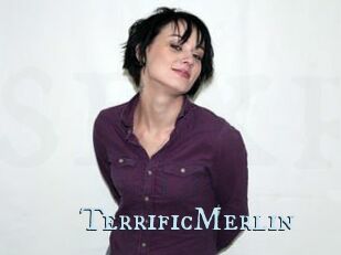 TerrificMerlin