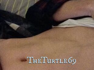 TheTurtle69