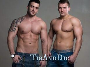 TigAndDic