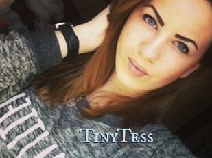 TinyTess