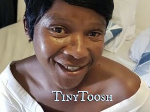 TinyToosh