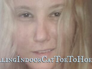 TravellingIndoorCatToeToHoe