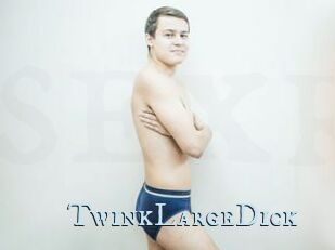 TwinkLargeDick