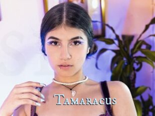Tamaracus