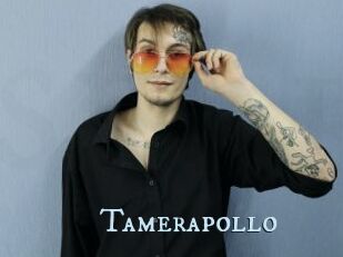 Tamerapollo