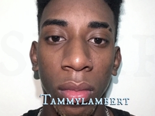 Tammylambert