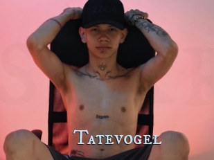 Tatevogel