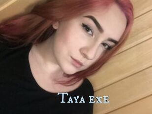 Taya_exe