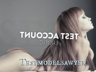 Testmodelsawyer