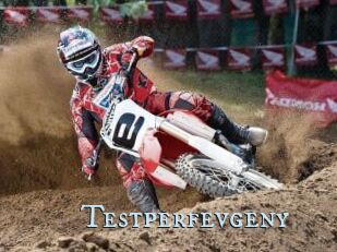 Testperfevgeny