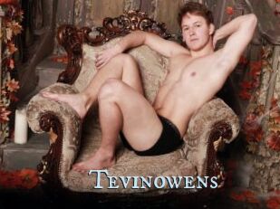 Tevinowens