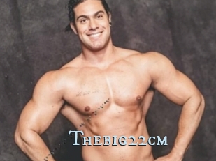 Thebig22cm