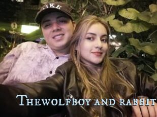 Thewolfboy_and_rabbit