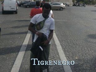 Tigrenegro