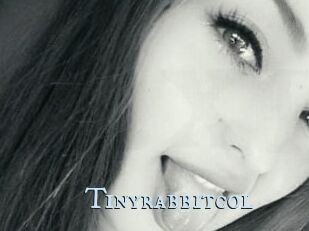 Tinyrabbitcol