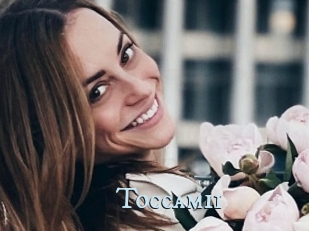 Toccami1