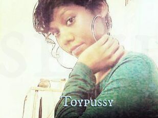 Toypussy