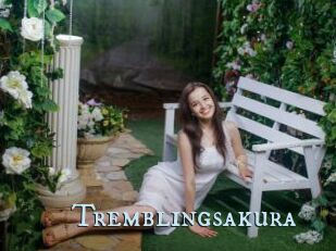 Tremblingsakura