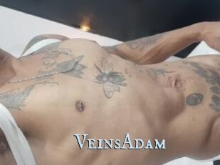 VeinsAdam
