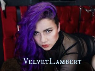 VelvetLambert