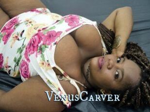 VenusCarver