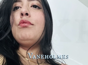 Vaneholmes