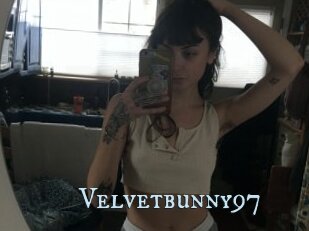 Velvetbunny97
