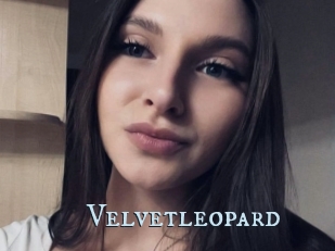 Velvetleopard