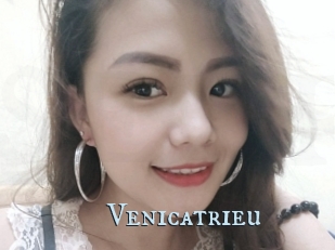 Venicatrieu