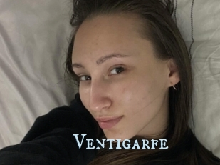 Ventigarfe