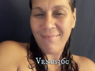 Venus36c