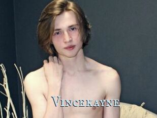 Vincekayne