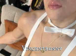 Vincentbunny