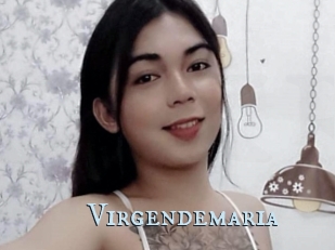 Virgendemaria