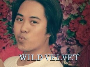 WILD_VELVET