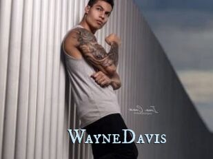 WayneDavis