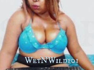 WetNWild101