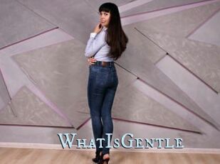 WhatIsGentle