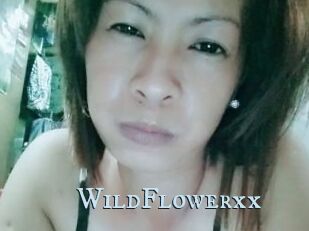 WildFlowerxx