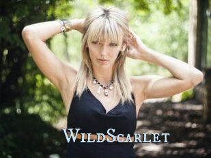 WildScarlet