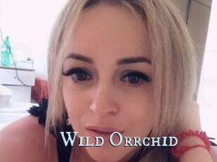 Wild_Orrchid