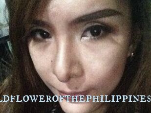 Wildflowerofthephilippines