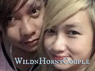 WildnHornyCouple